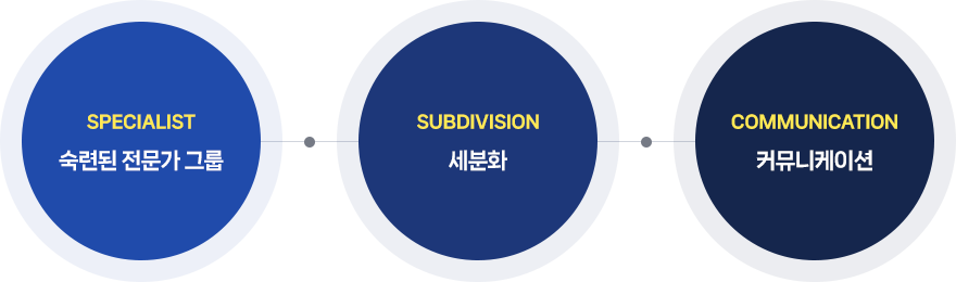 숙련된 전문가 그룹, 세분화, 커뮤니케이션