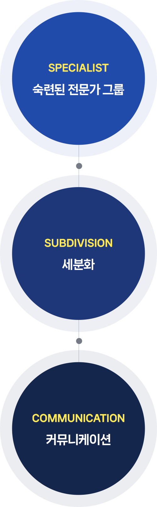 숙련된 전문가 그룹, 세분화, 커뮤니케이션